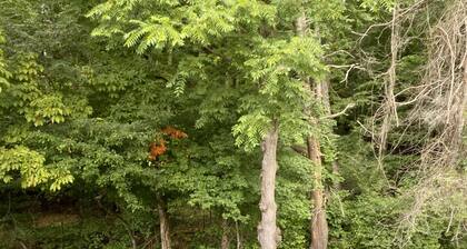 Creekside home with hot tub within 30 mins to Asheville