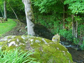 Property grounds - Creekside home with hot tub within 30 mins to Asheville (Burnsville)