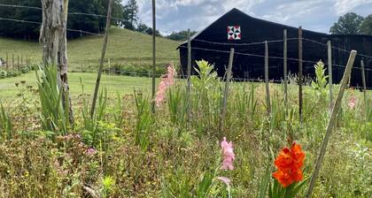 Creekside home with hot tub within 30 mins to Asheville