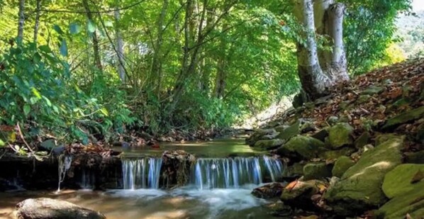 Jardines del alojamiento