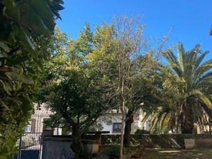 Área da propriedade