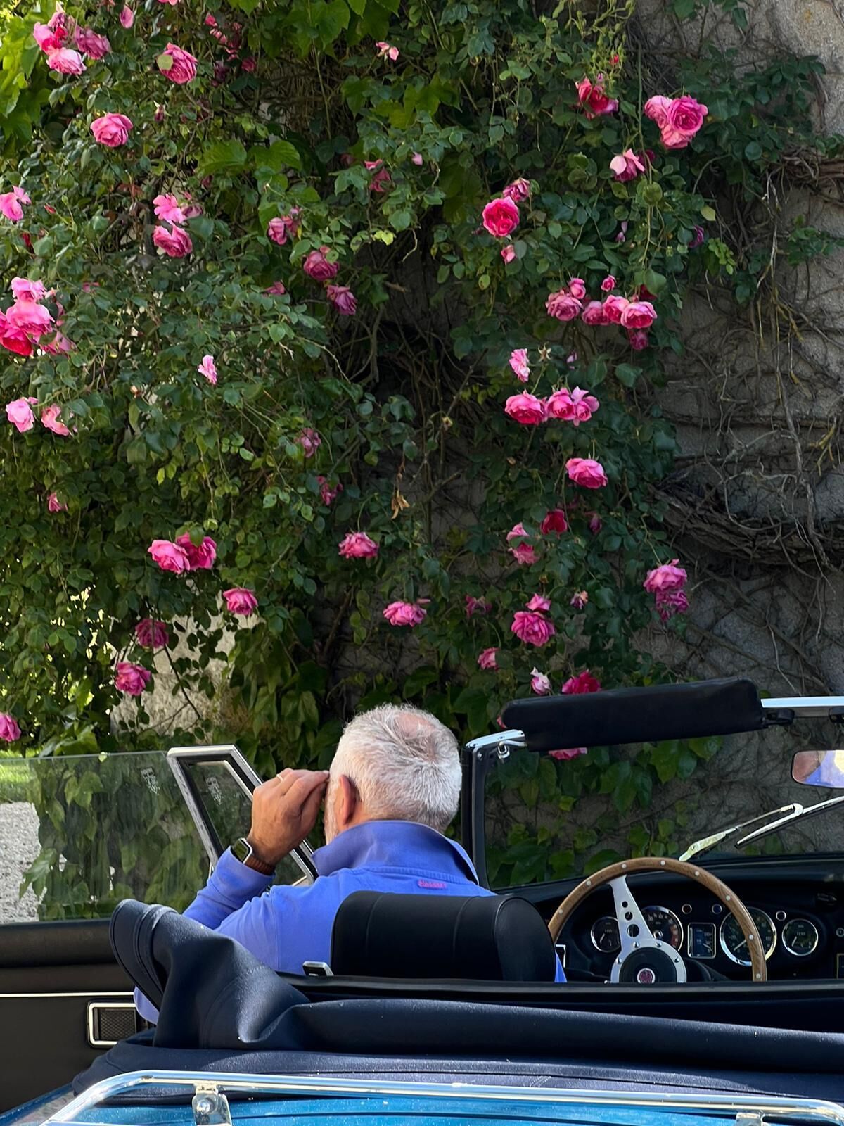 A man in a convertible car with a steering wheel and dashboard, parked in front of a wall covered with pink roses.
