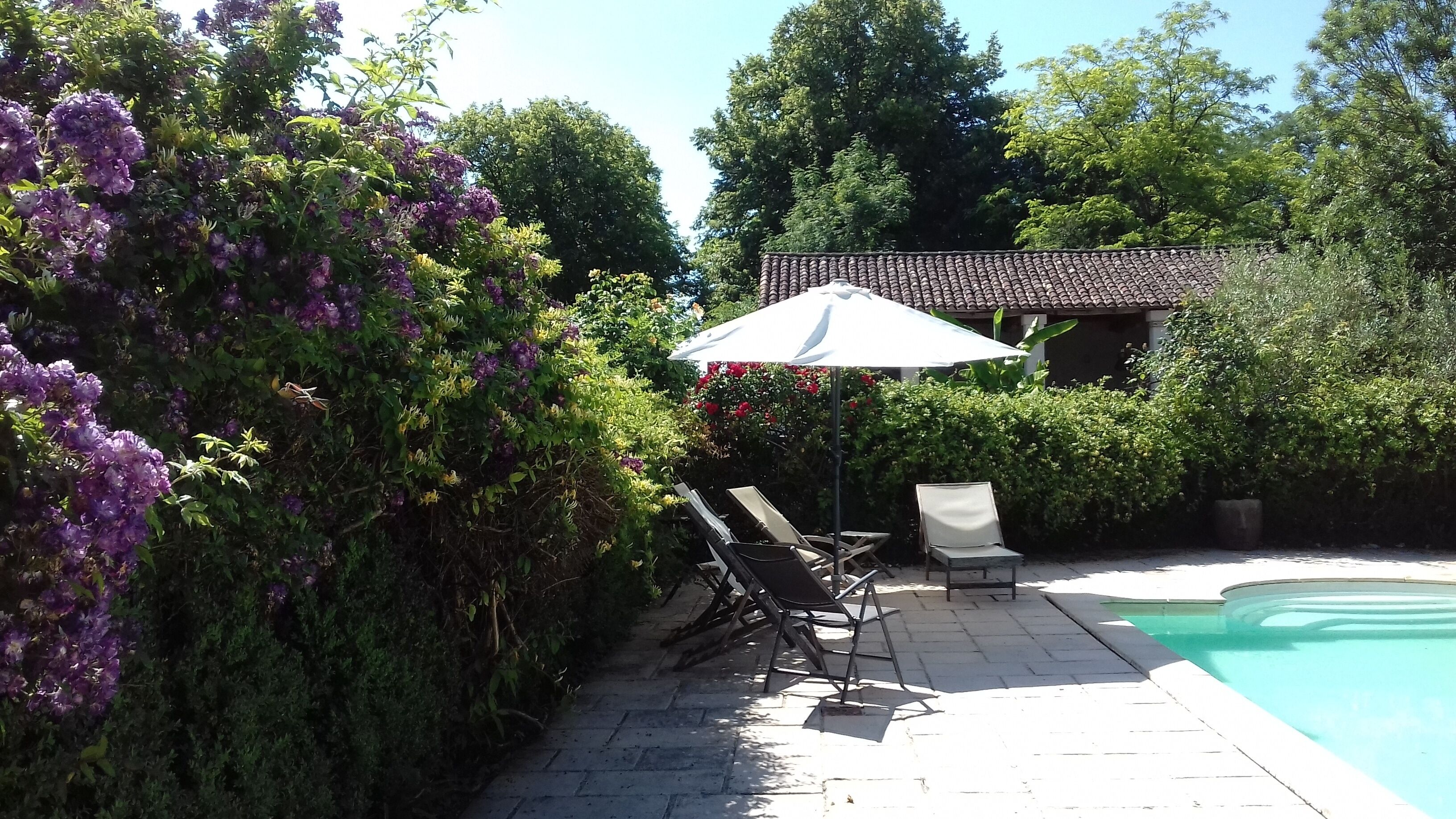 Un espace aménagé au bord de la piscine, avec deux chaises longues et une table placée sous un grand parasol, le tout entouré d’une végétation luxuriante et de fleurs violettes.