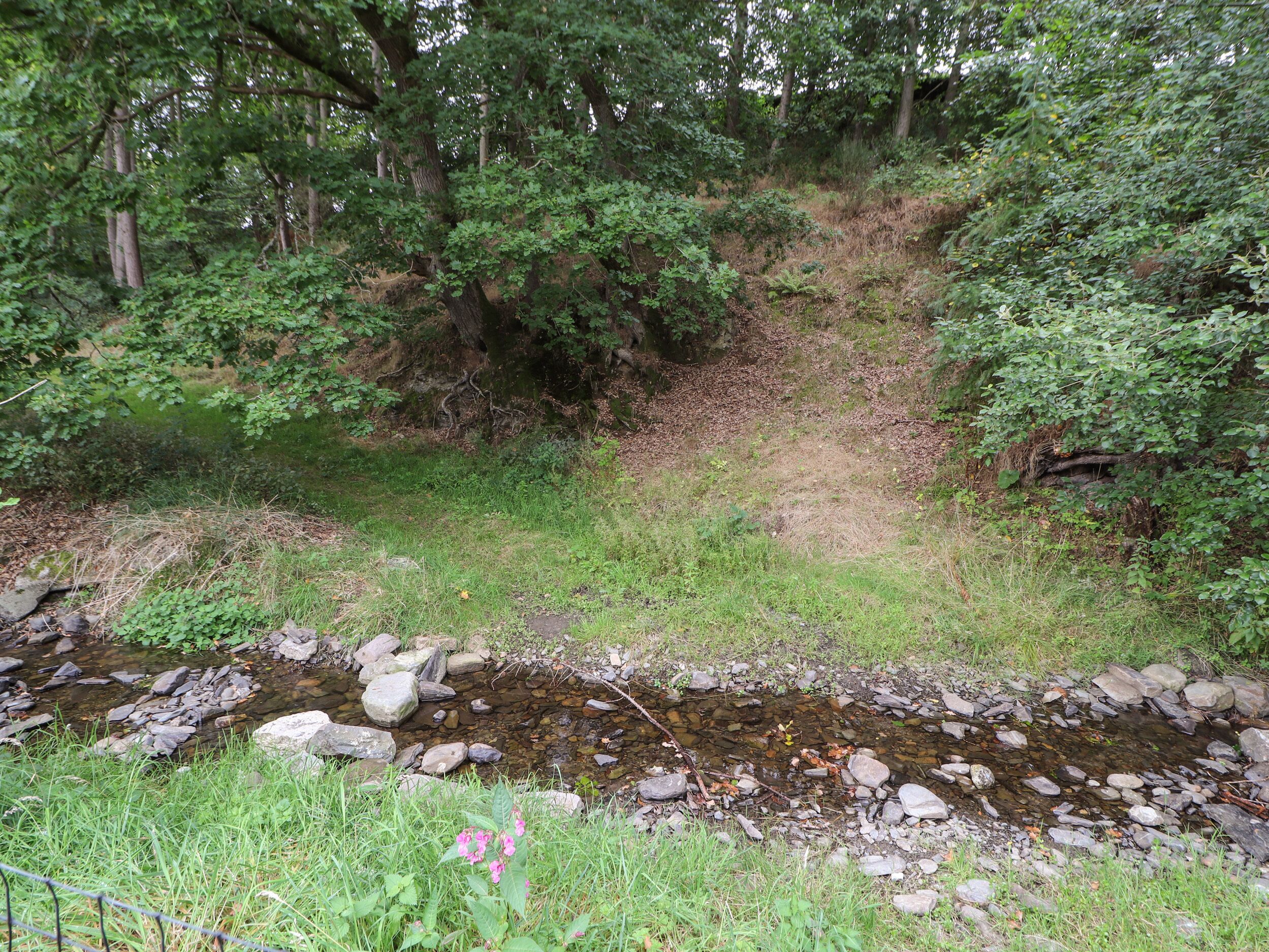 A natural outdoor setting with a stream, rocks, and dense greenery.