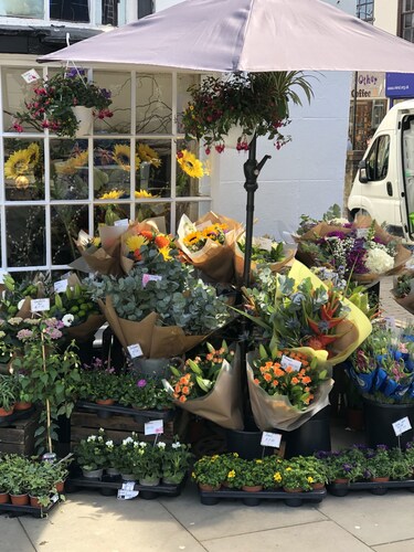 AWARD WINNING Shining Star on the Historic Cartway with River Views