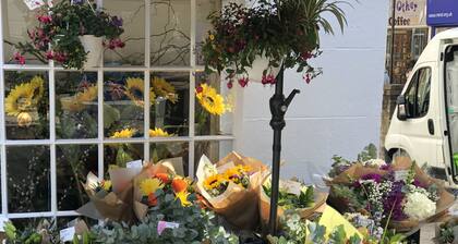 AWARD WINNING Shining Star on the Historic Cartway with River Views