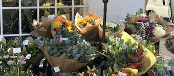 AWARD WINNING Shining Star on the Historic Cartway with River Views