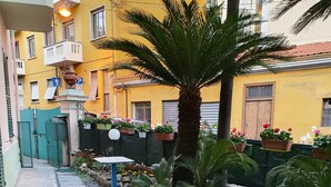 Un patio con una palmera, plantas en macetas y una pequeña mesa.