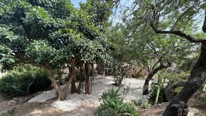 A garden with various trees and plants, a gravel path, and a stone wall in the background. - Villa Cava with private pool (Avola)