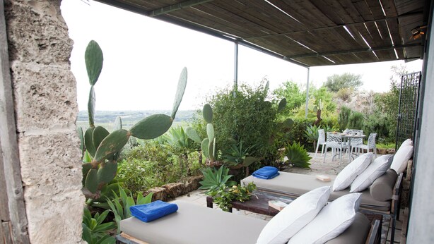 A covered outdoor seating area with cushioned loungers, a table, and chairs, surrounded by various plants and cacti. - Villa Cava with private pool (Avola)