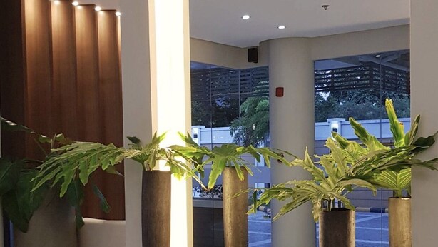 Un espace d’accueil moderne agrémenté d’un grand miroir, de plantes en pot et d’une console.
