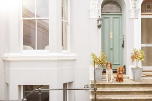 A white building with a green door, two potted plants, and two dogs sitting on the steps.