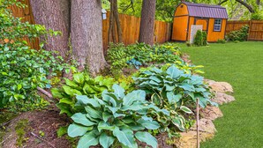Een tuin met grote, weelderige planten, een houten omheining en een kleine schuur.
