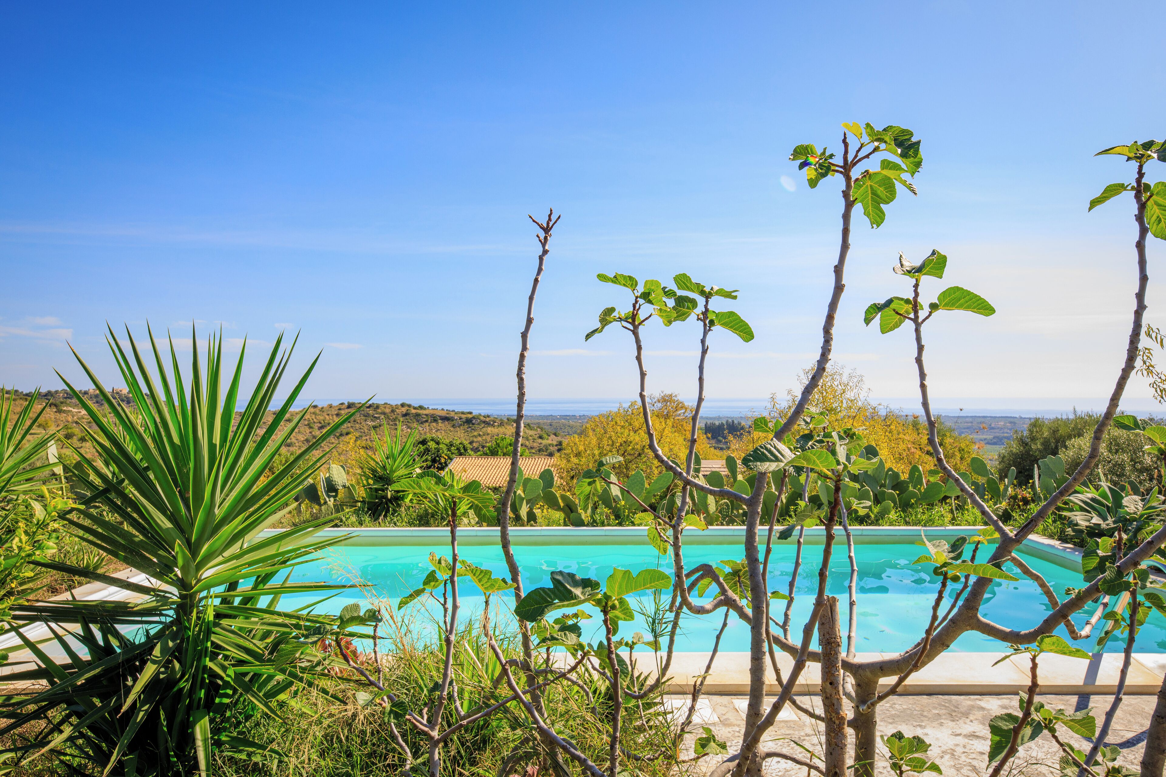Alberca al aire libre 