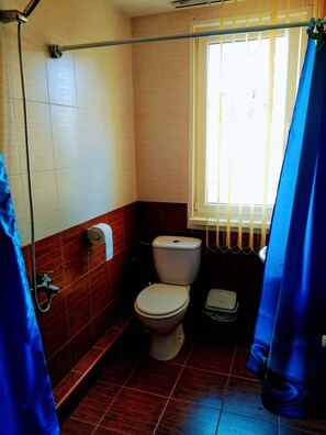 Douche, sèche-cheveux, serviettes fournies, papier toilette