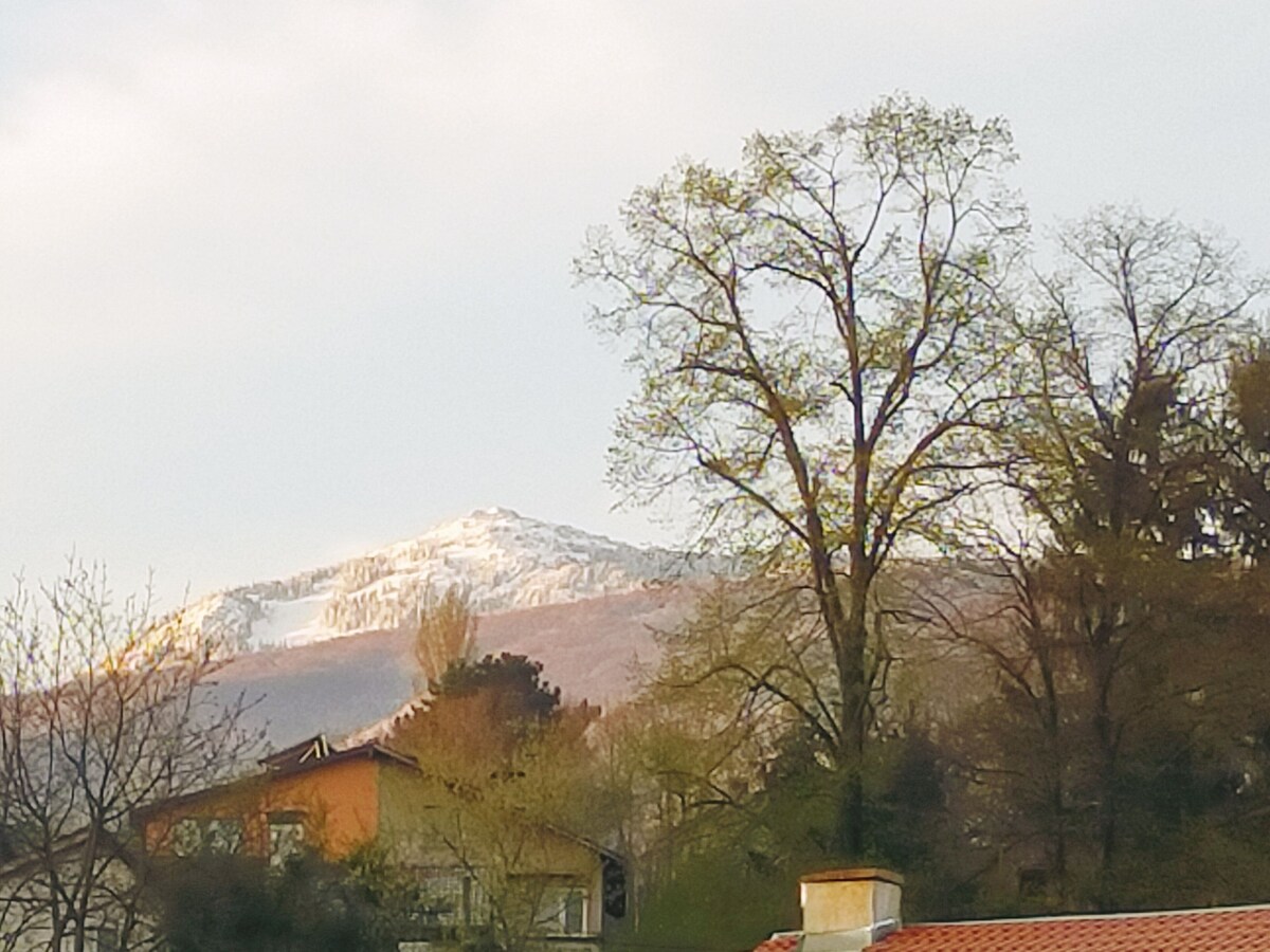 Image de profil de l’hôte