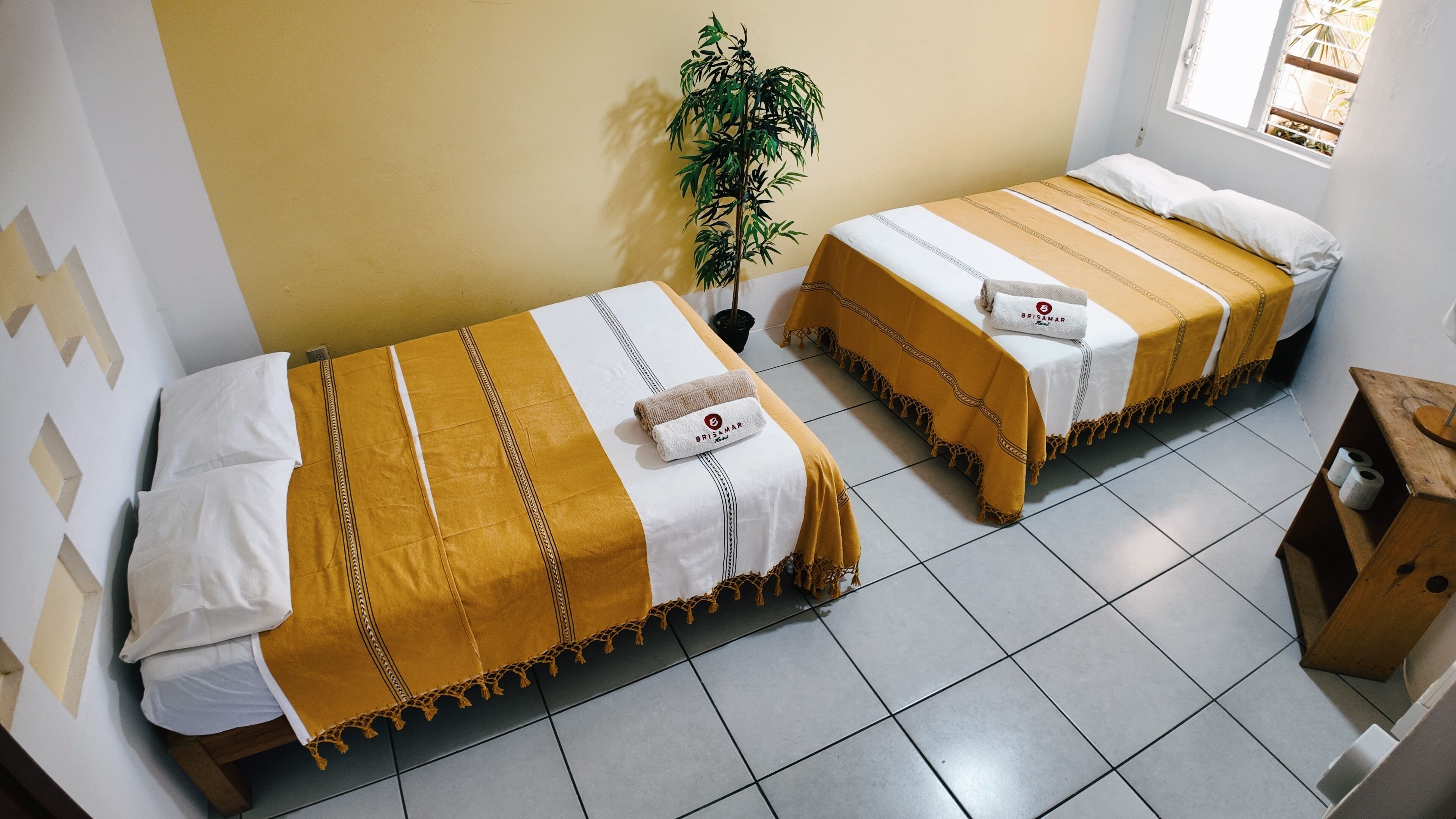 Two single beds with matching bedding, a potted plant, and a window with a view.