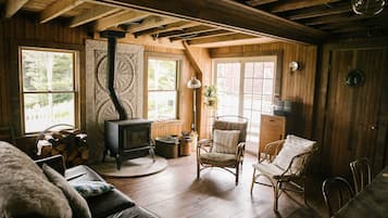 TV, fireplace, books, video library