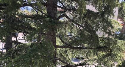 Studio 800 m from the beach and close to the beginnings