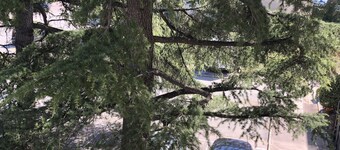 Studio 800 m from the beach and close to the beginnings