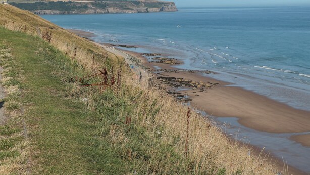 Un paysage côtier avec un sentier herbeux menant à une plage de sable et des falaises en arrière-plan.