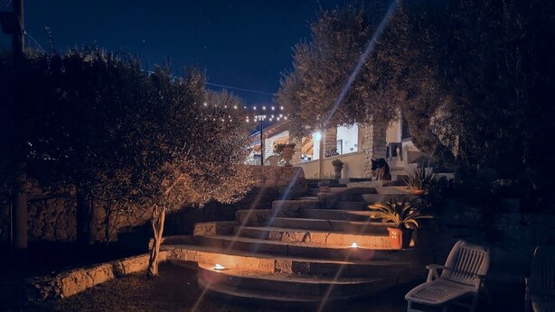 Une vue nocturne d’un bâtiment avec des marches en pierre menant à une porte, entouré d’arbres et de plantes en pot.
