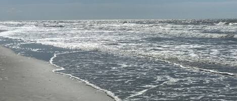 在海灘附近、躺椅