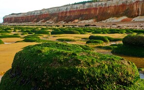 مكان جذب سياحي