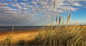 مكان جذب سياحي