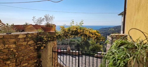 House with large garden overlooking the sea