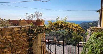 House with large garden overlooking the sea