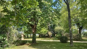 A park with trees, grass, and a statue.