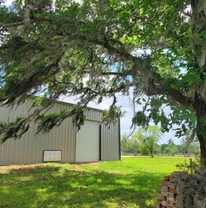 Property grounds - Relaxing two-bedroom, 2 acre ranch, getaway (Fulshear)