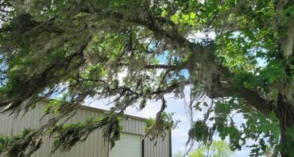 Relaxing two-bedroom, 2 acre ranch, getaway