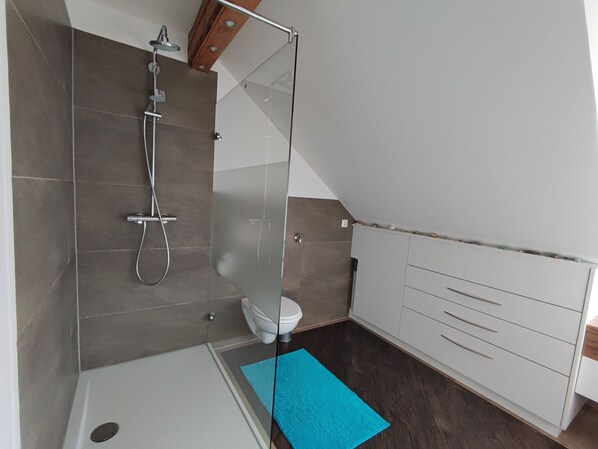 A modern bathroom with a glass shower enclosure, a white toilet, and a wooden cabinet. - Comfortable vacation apartment with alpine views and a quiet location (Argenbühl)