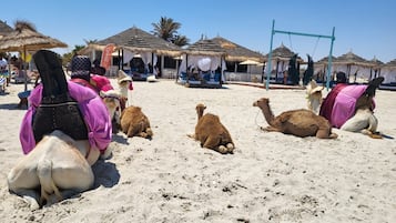 Plage à proximité