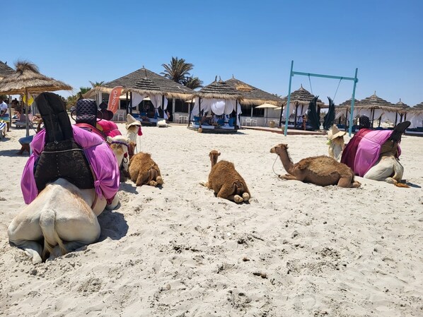 Playa en los alrededores 