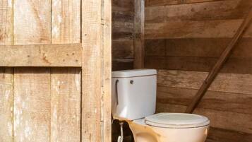 Combined shower/bathtub, toilet paper