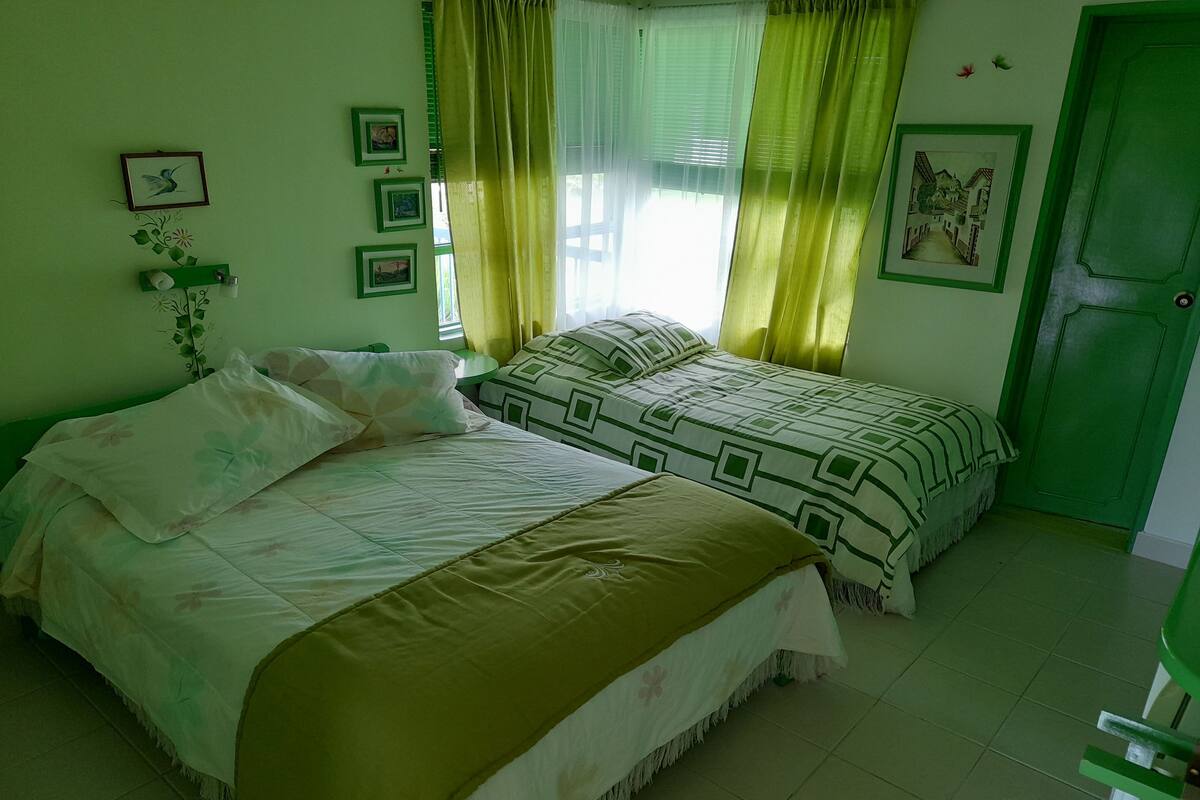 A bedroom with two beds, a green door, and a window with curtains.