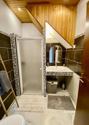 Douche, sèche-cheveux, serviettes fournies, papier toilette