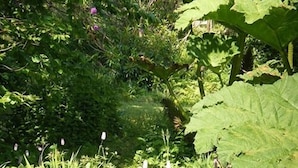 A garden with various plants and flowers. - Tullochard House (Dunvegan)