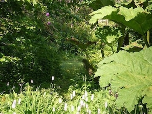 Vue depuis l’hébergement