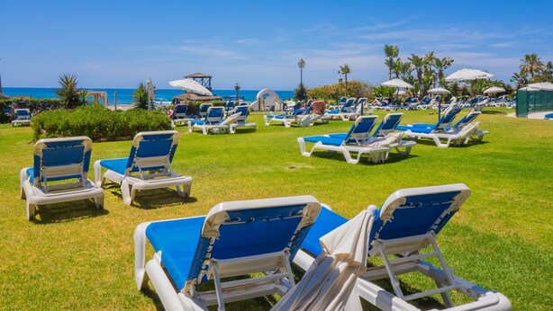 Un espace de détente aménagé au bord de la plage, avec des rangées de chaises longues bleues et blanches, des palmiers et une vue dégagée sur l’océan.