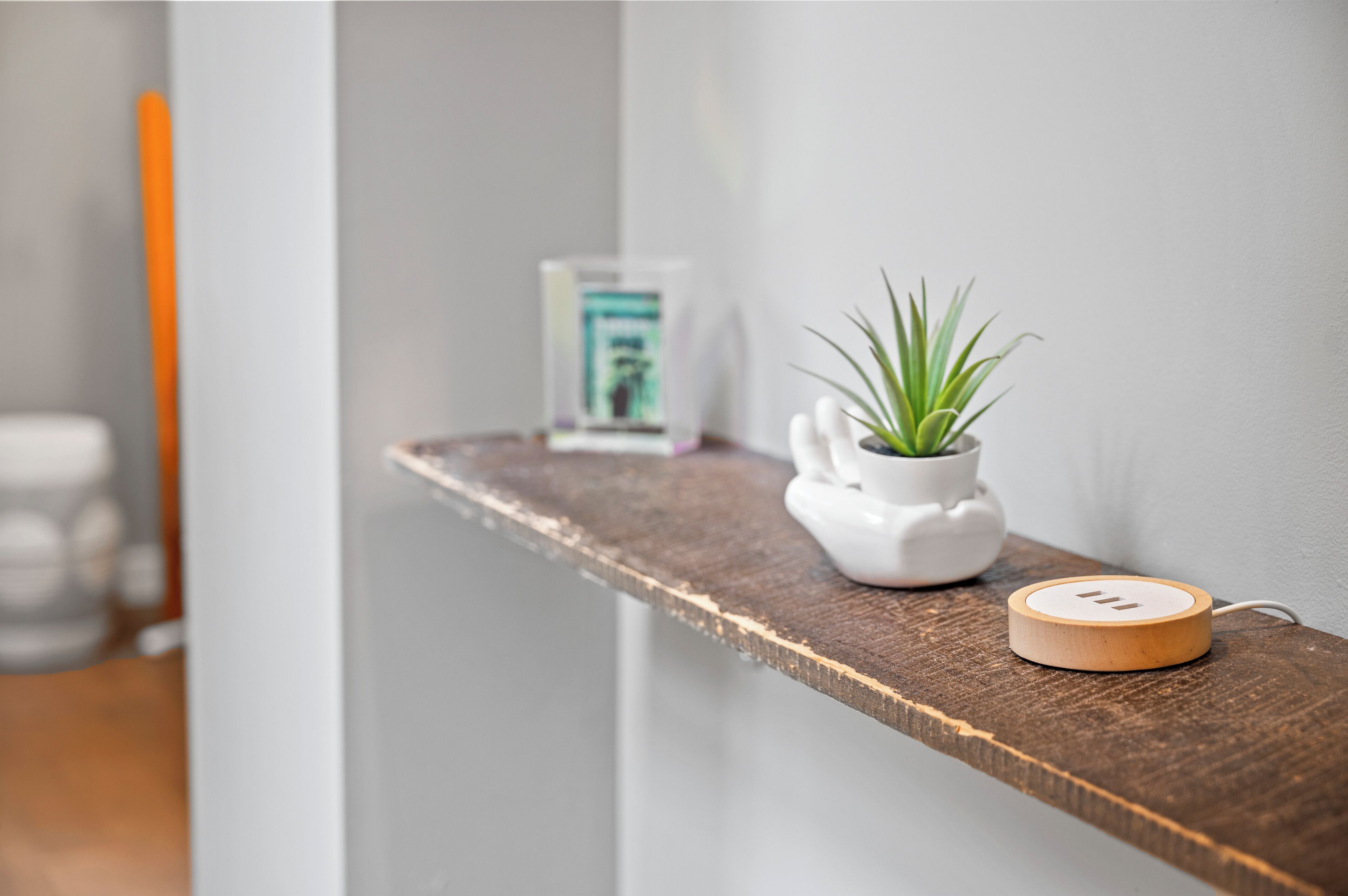 Une étagère en bois sur laquelle se trouve une petite plante en pot et un appareil blanc doté d’un socle en bois.