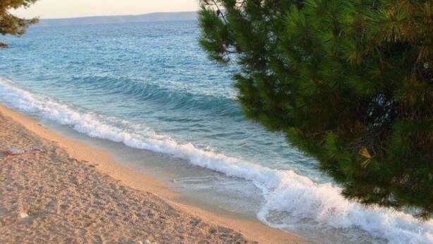 Una platja amb ones que brollen suaument a la riba, envoltada de vegetació.