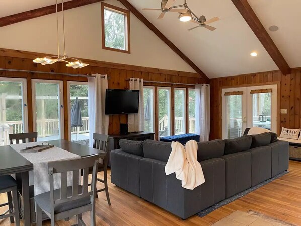 Smart TV, fireplace, books, music library