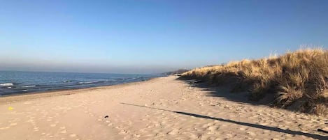 Plage à proximité, chaises longues, serviettes de plage