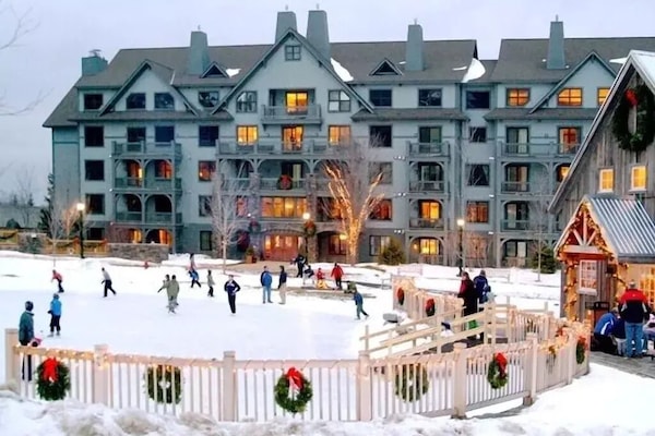 Ice Skating pond and fire pit just behind Long Trail House - rentals available!