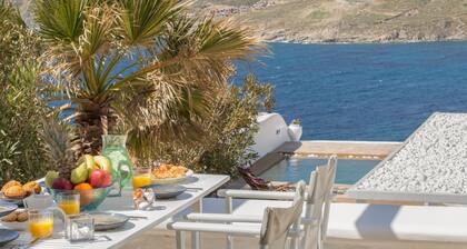 An elegant Villa with infinity pool and a breathtaking sea view