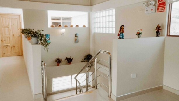 Un espacio interior limpio y bien iluminado con una escalera, plantas en macetas y adornos en la pared.